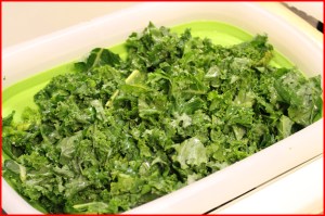 Fresh Kale