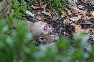 Our first ground breaker