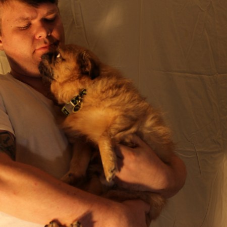 Murray, Brussels Griffon