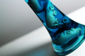 We picked up this tentacle in a vase at the show!