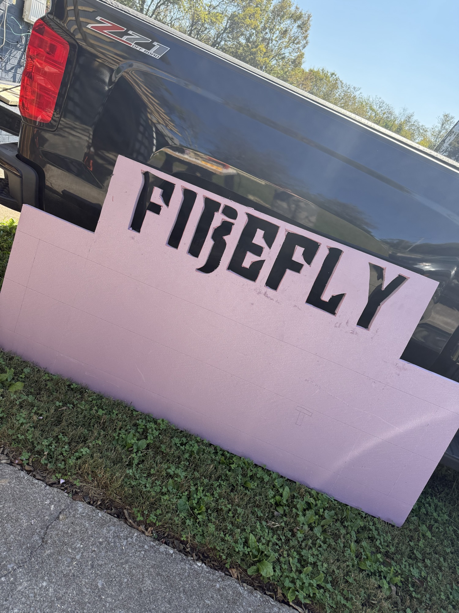 Final cut of FIREFLY logo